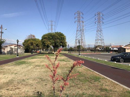 Rubberized jogging path