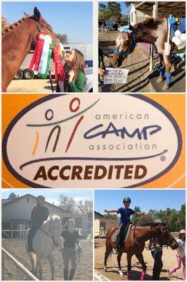 THE Horse Camp @ Total Equestrian Experience is Accredited by the American Camp Association