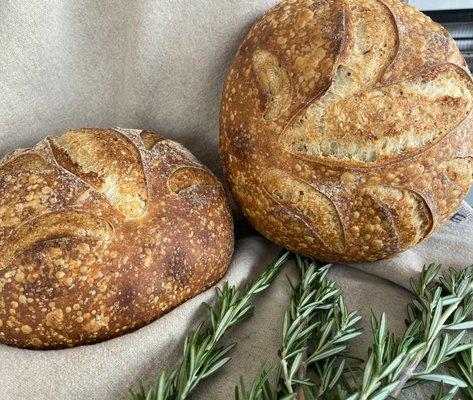 Rosemary Sourdough. (Contains wheat flour, whole rye flour, water, fresh chopped rosemary and salt. Available Thursdays.