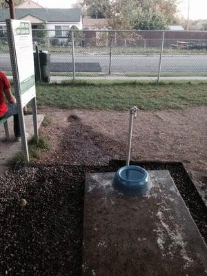 Water spout and dish