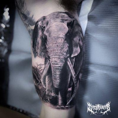 Elephant tattoo