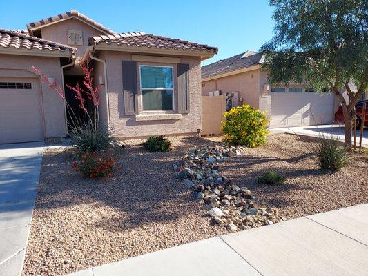 Front Yard Installation