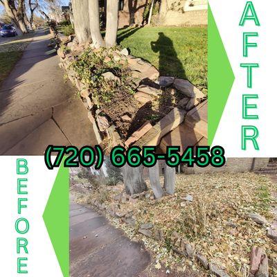 Before and after of fall cleanout in Belcaro neighborhood.