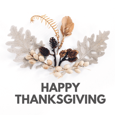 Wishing you a happy and festive Thanksgiving with all your family and friends!