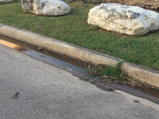 Water pooled in curb