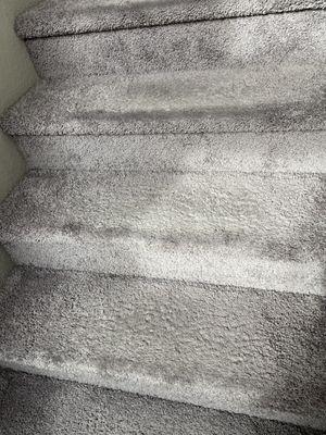 Clean carpet on stairs