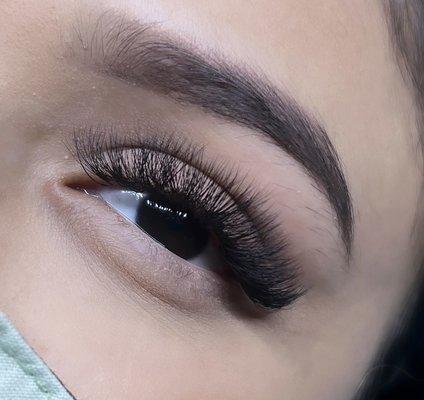 Hybrid Lashes