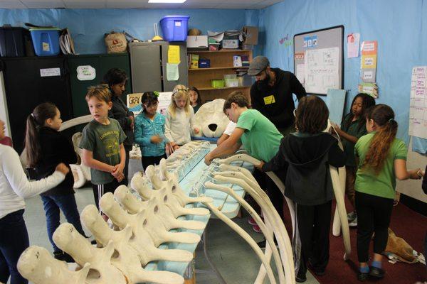 Whale Week (Mission Science Workshop) comes to Flynn! May 2016