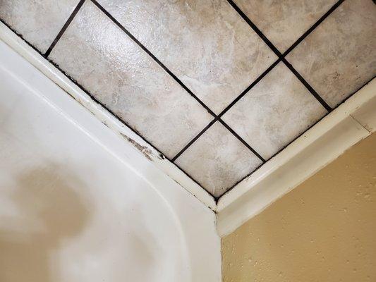 mold around the tub in master bath