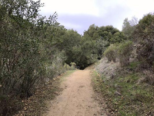 Newt Pond Trail