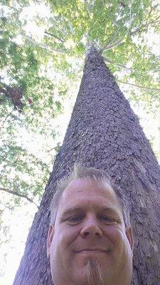 Big Tree Selfie  Pine Tree