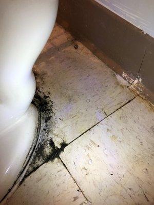 Another photo of black mold in the bathroom