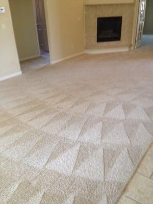 Montrose Carpet Cleaning