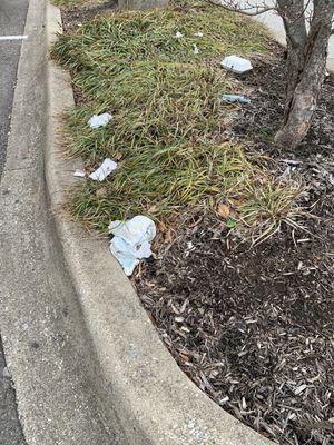 Notice the trash including a dirty diaper in the parking area.