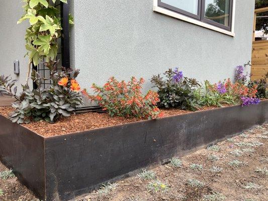 Steel Planting Bed