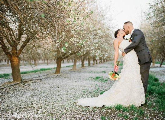 March Almond Blossoms