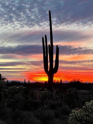 Sunset Tucson AZ