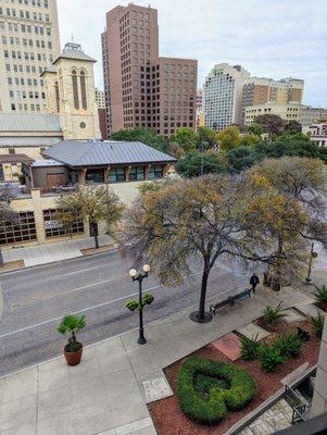 View from building 300 Dolorosa. Love the heart-shaped bushes!