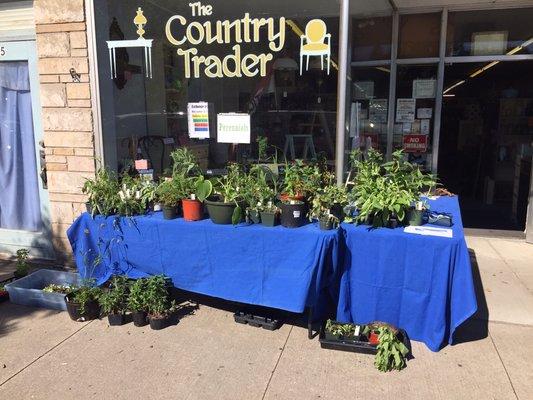 Annual Plant Exchange and Sale usually held the first Saturday in June