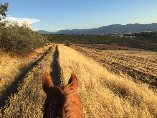 Miles of trails