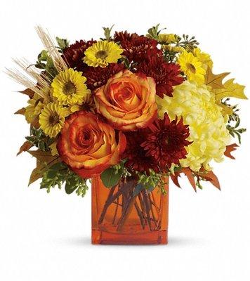 Beautiful choices for Fall, from Toole Florist!