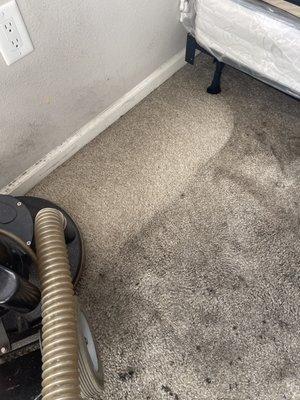 Rotary extraction with Platinum Carpet Cleaning