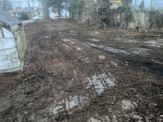 Grading of abandoned property all overgrown shrubbery and weeds removed