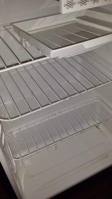 Mold in refrigerator