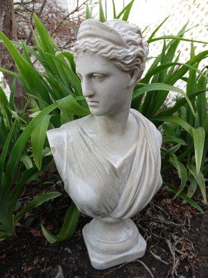 Small 12 inch bust of Venus