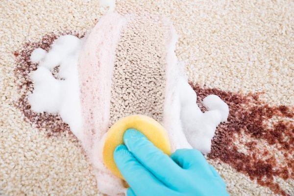 carpet stain cleaning