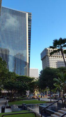 Pauahi Tower Skyline View