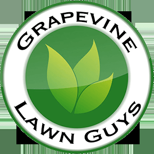 Grapevine Lawn Guys