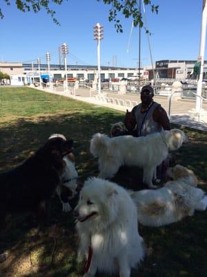 Dave and happy dogs