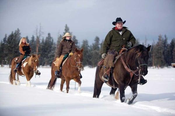 Lake Placid Horse Stables & Horse Rescue