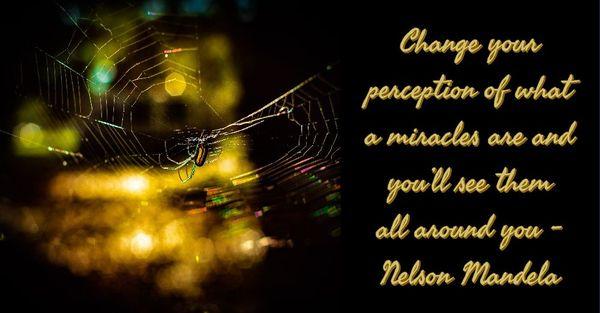 Miracles come in many ways, shapes, sizes and forms. Open your mindsets to all opportunities, recognize your blessings and own them.