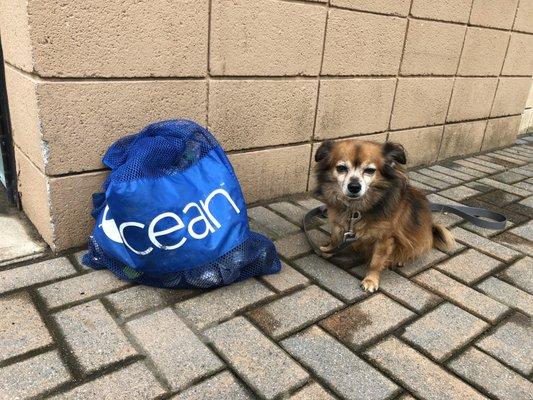 Teddy & I like to pickup trash on our walks