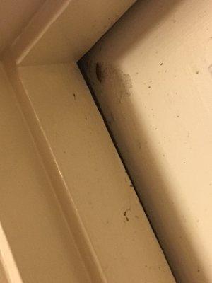 Door won't close and roaches come in.