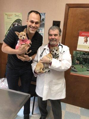 My Chihuahuas love Dr. Jimmy kox