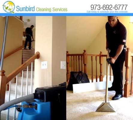 Carpet and Stairs Cleaning