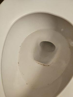 Dirty Toilets