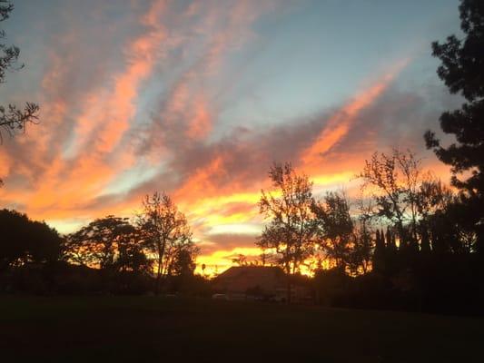 View from the park! Open skies!