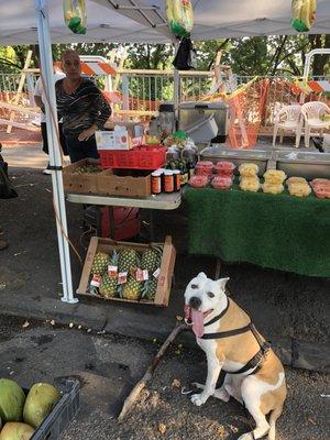 Outdoor Fruit And Milk Shake Stand