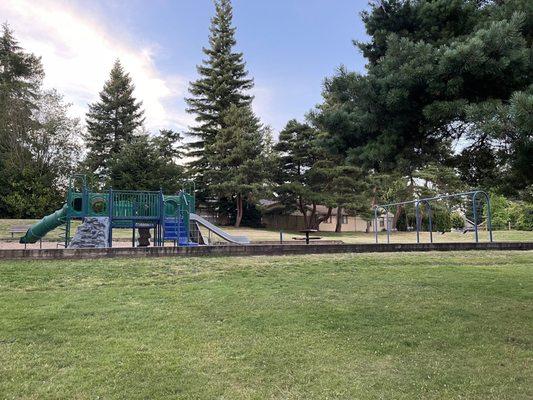 Play structure with tunnels, picnic table, benches, spinner, and swings (including two baby swings)