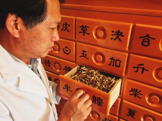 Dr. Shin with his impressive herbal medicine chest full of Chinese herbs that do wonders.