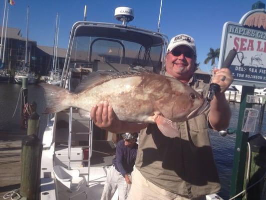 Red grouper