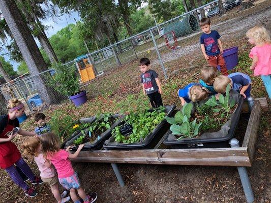 Gardening is so much fun!!