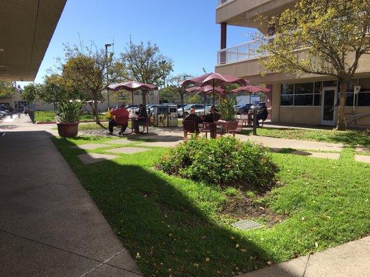 Seating area is next to the cafe at the back of the building.