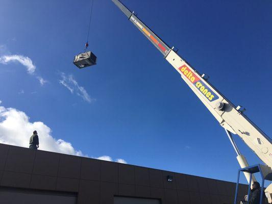 Commercial units being lifted onto rooftops.