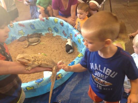 Touching lizards from Tails Toes and Ears program.