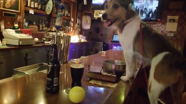 Lloyd, enjoying a transitional brew from his native home.